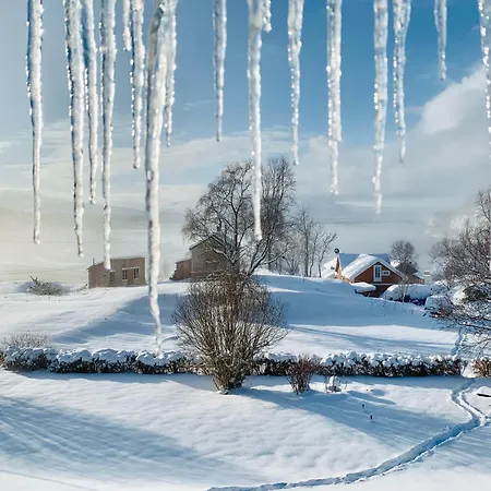 Serene Countryside With Fjord Views And Blooming Gardens Bodø